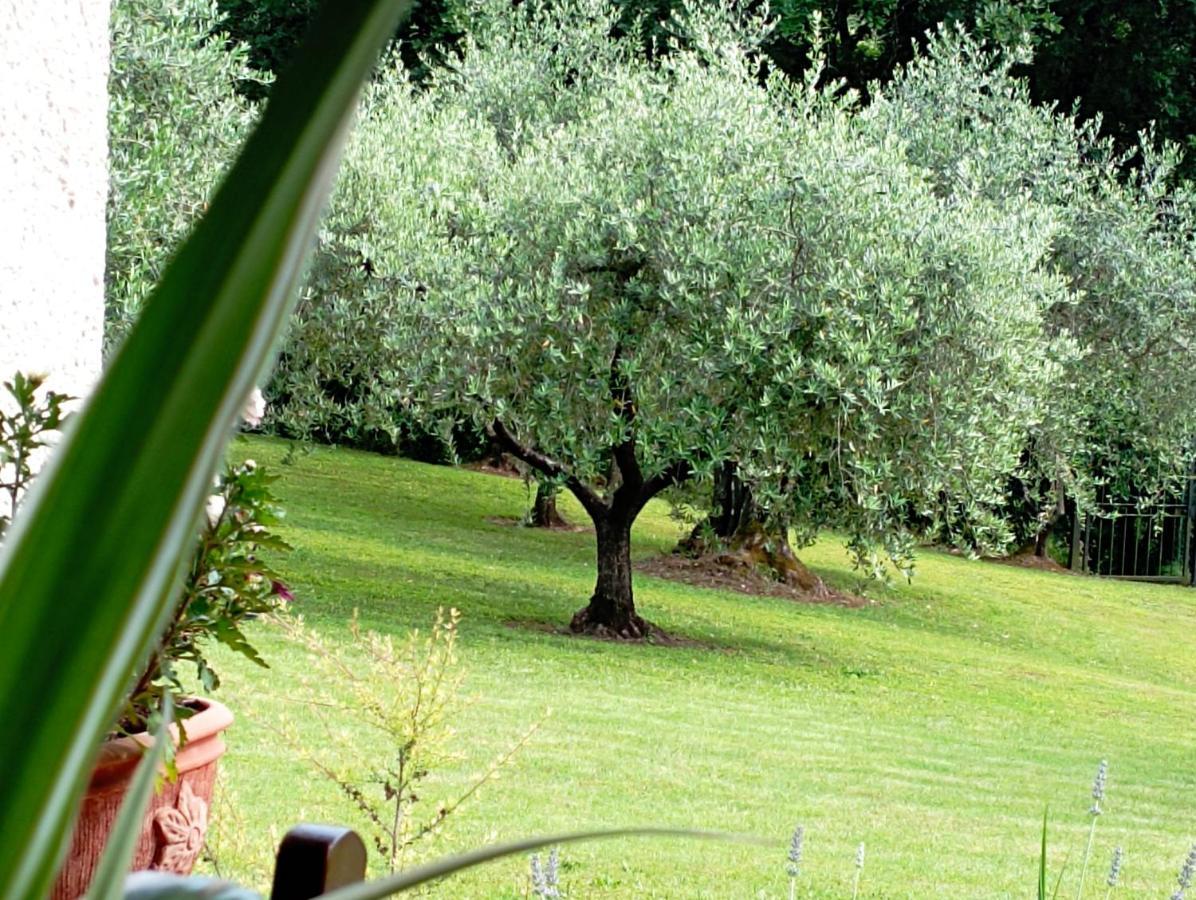Villa Luna Comeana Экстерьер фото