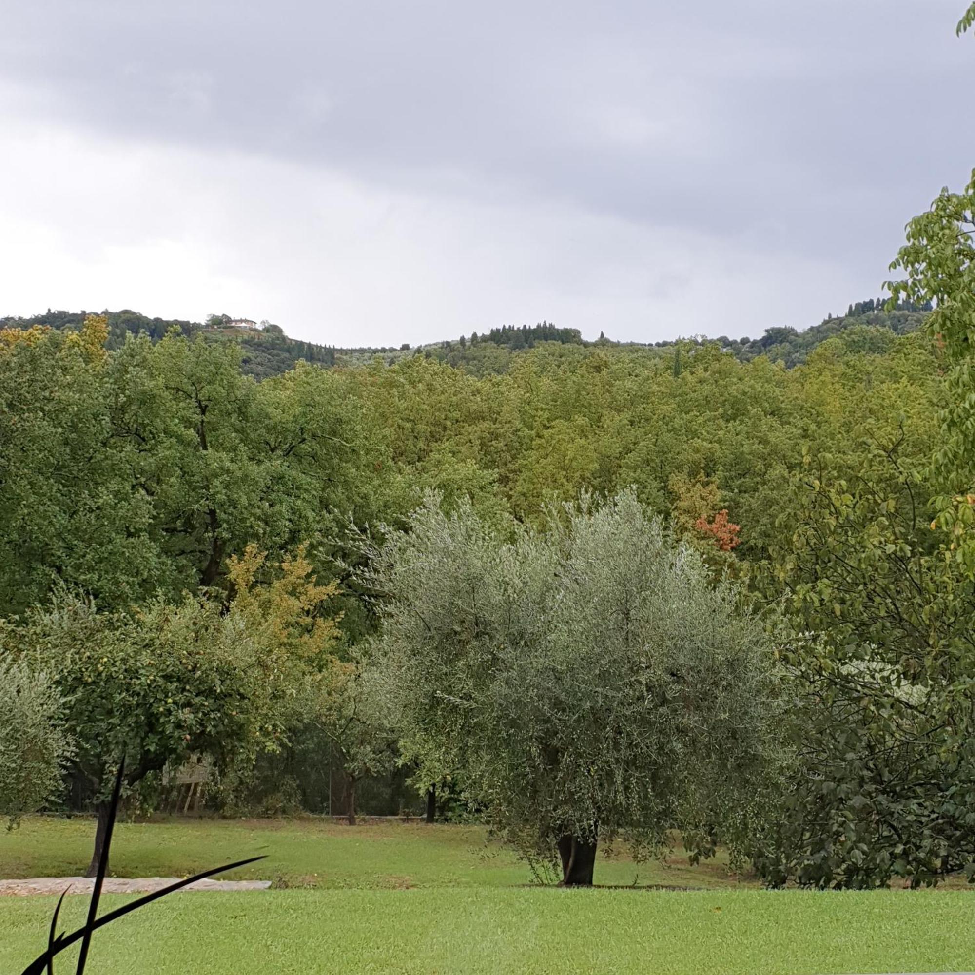 Villa Luna Comeana Экстерьер фото